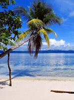 Raja Ampat Islands Indonesia 36